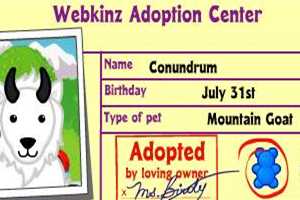 webkinz-3×2